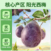 优选【百草味】西梅干508g 商品缩略图1