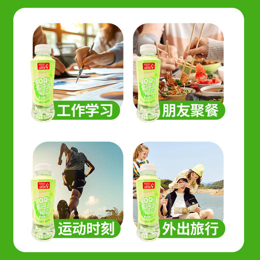 【快速补水】光明 光明满元气100%椰子水 350ml/瓶*15瓶 NFC非浓缩还原 商品图4