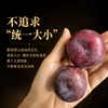 预计5.18开始发货，可能会提前【顺丰！】西域美农 云南高原风味玫瑰李子3斤 香气浓郁 有风斑 商品缩略图3