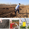 农家生态蔬菜组合优惠 10多种蔬菜任选6份包邮 新鲜采摘基地直发 商品缩略图2