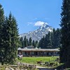 漫游伊犁丨 2+1座驾逛伊犁草原，牛羊、花海、雪山，承包你对新疆夏天的所有想象！ 商品缩略图5