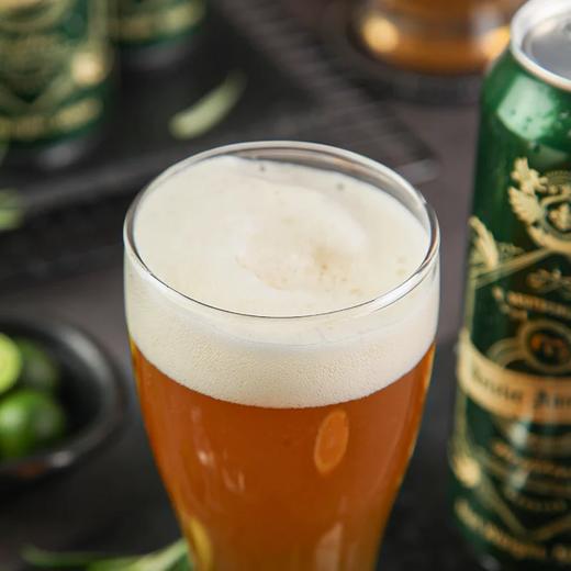 麦德龙 麦臻选 小麦啤酒 500ml*12/24 商品图3