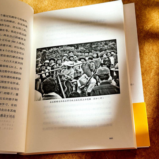 自然农法 淡泊生命之道 献礼大地丛书 日本自然农法经典之作 瓦依那乐队主唱岜农手绘封面 商品图10
