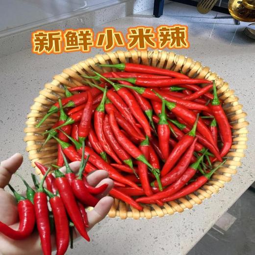 【HGSM】小米辣 商品图0