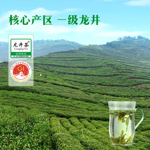 【2026年春茶】八马茶业丨寻香·茶香浓滋味醇龙井茶132g 商品图1