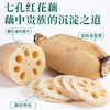 福东海 纯藕粉600克 七孔红花藕红枣藕粉术后中老年早餐代餐 商品缩略图3