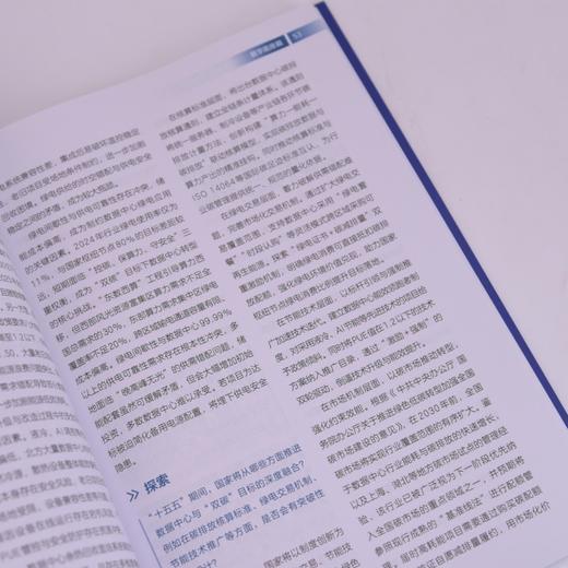 预见2030 漫谈“十五五”数智化 商品图2