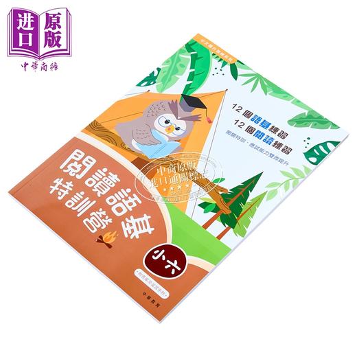 【中商原版】阅读语基特训营 小六 中文跃升训练系列 中华书局教育港台原版 小学六年级中文语文基础知识练习 阅读理解 含答案 商品图2