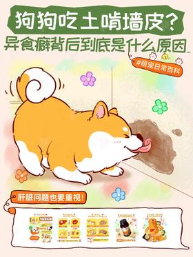 【普安特科普】🐶狗狗吃土啃墙是什么原因？小心肝求救！