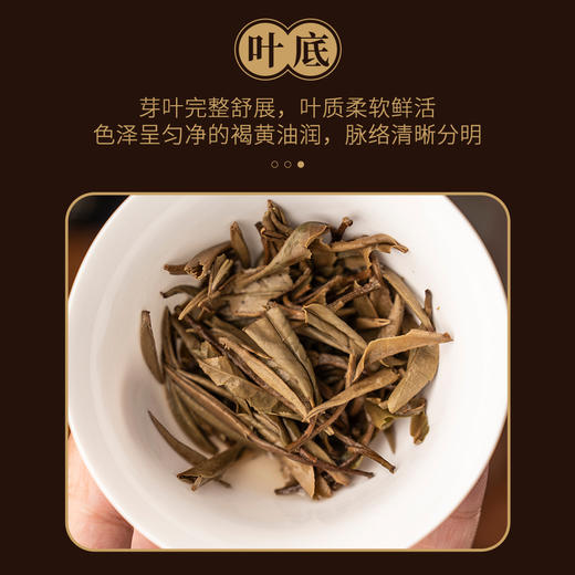 【定年】八年陈老白牡丹30g 商品图4