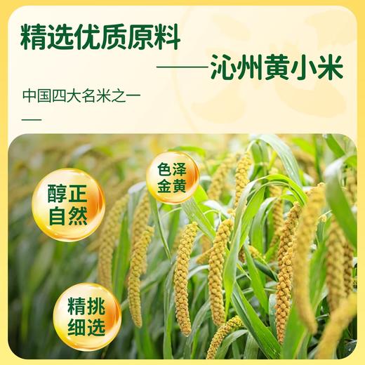 【嘎嘣脆零嘴】沁州黄小米锅巴165g*3袋装孜然香辣原味酥脆香休闲零食粗粮小吃 商品图2