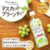 沙孚麝香葡萄茶味饮料500ml 商品缩略图0