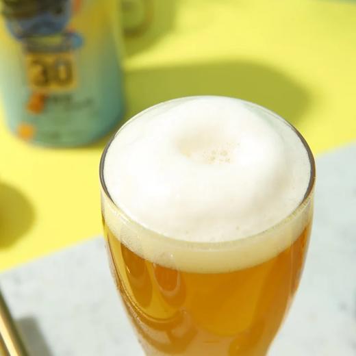 麦德龙 麦臻选x鲜啤30公里比利时小麦鲜啤 750ml 商品图3