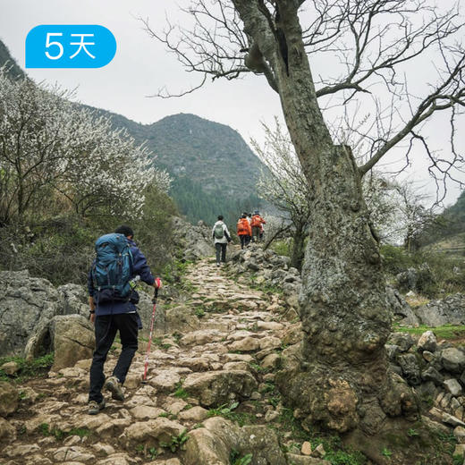 黔中古道｜心学之路+徐霞客古道，穿越贵州600年时空，5天4晚人文轻徒步 商品图3