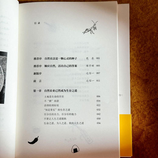 自然农法 淡泊生命之道 献礼大地丛书 日本自然农法经典之作 瓦依那乐队主唱岜农手绘封面 商品图8