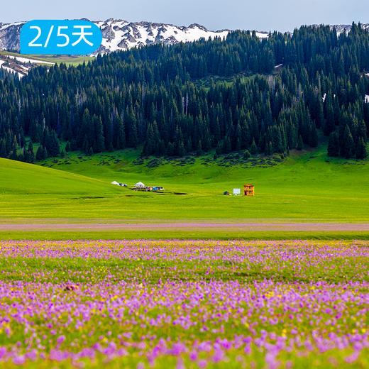 喀拉峻徒步｜新疆天山大美徒步摄影路线  双版本可选 2/5日 商品图8