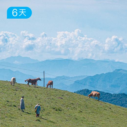 五台山顺朝徒步大会｜88公里特别版 朝台大圆满 6日 商品图3