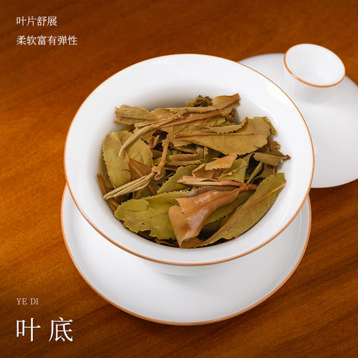 懂茶帝福鼎白茶高山贡眉云雾管阳村官甄选2023年贡眉220g礼盒装 商品图3