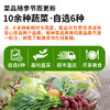农家生态蔬菜组合优惠 10多种蔬菜任选6份包邮 新鲜采摘基地直发 商品缩略图1