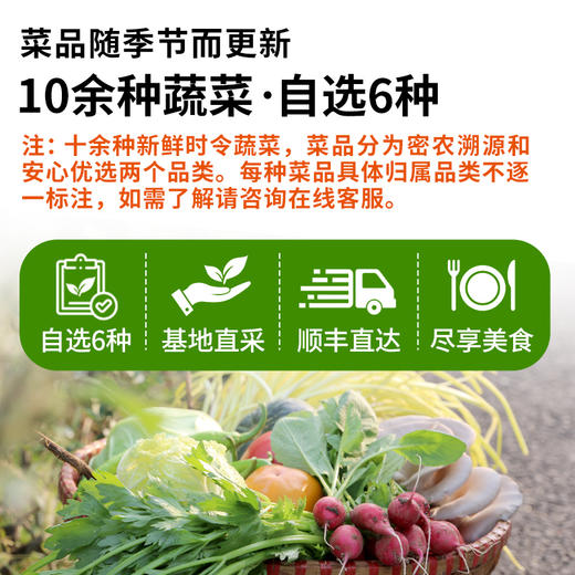 农家生态蔬菜组合优惠 10多种蔬菜任选6份包邮 新鲜采摘基地直发 商品图1