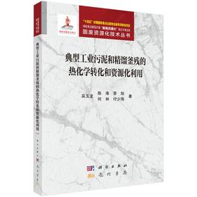 典型工业污泥和精馏釜残的热化学转化和资源化利用