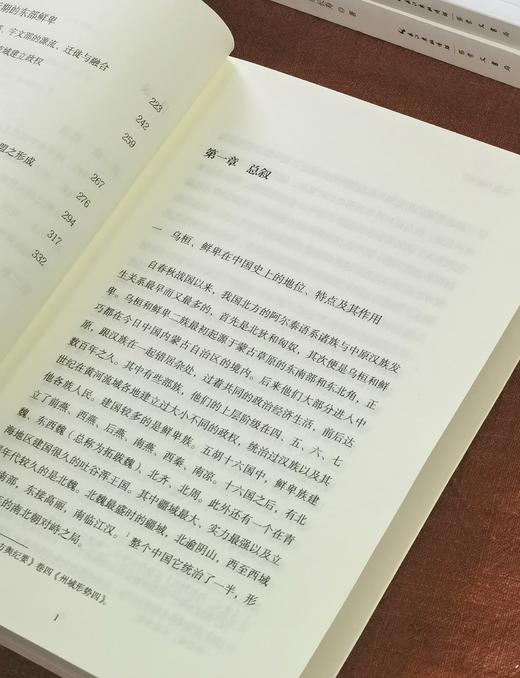 长寿民族史著作三种：《北狄和匈奴  突厥人和突厥汗国》《乌桓与鲜卑》《氐与羌》，32开，平装，马长寿著，崇文书局2026年一版二印 商品图10