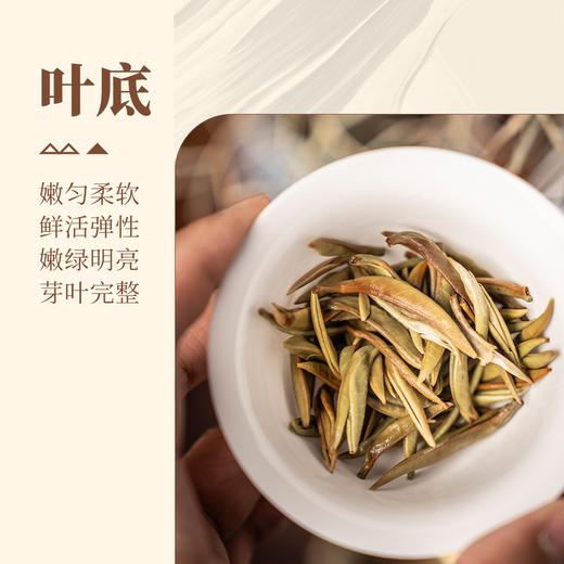 【甘活坊】云南古树白毫银针80g 商品图4