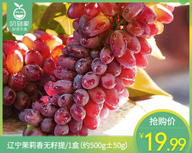 辽宁茉莉香无籽提/1盒（约500g±50g）