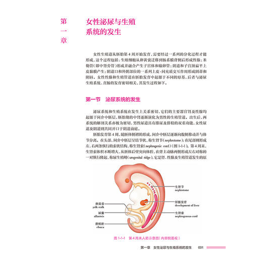 子宫输卵管造影临床图谱 何林生 王进华 本书是妇科 生殖 影像和输卵管介入医生及教学工作者的实用案头参考书 人民卫生出版社 商品图4