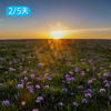 喀拉峻徒步｜新疆天山大美徒步摄影路线  双版本可选 2/5日 商品缩略图4