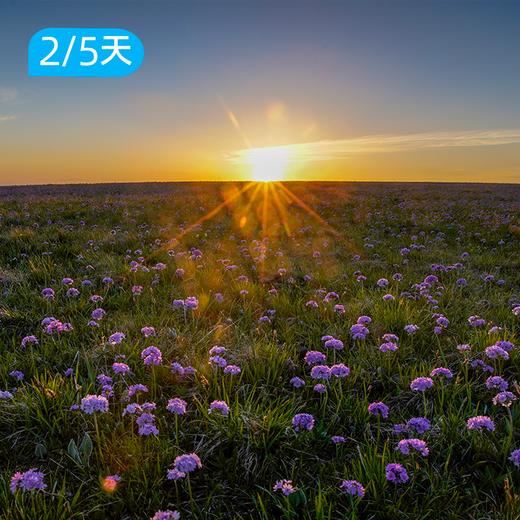 喀拉峻徒步｜新疆天山大美徒步摄影路线  双版本可选 2/5日 商品图4