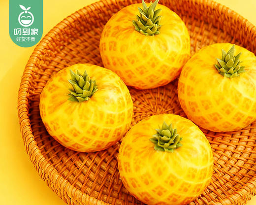 旺来菠萝包/1袋（10粒，共380g）生产日期：26年4月 商品图1