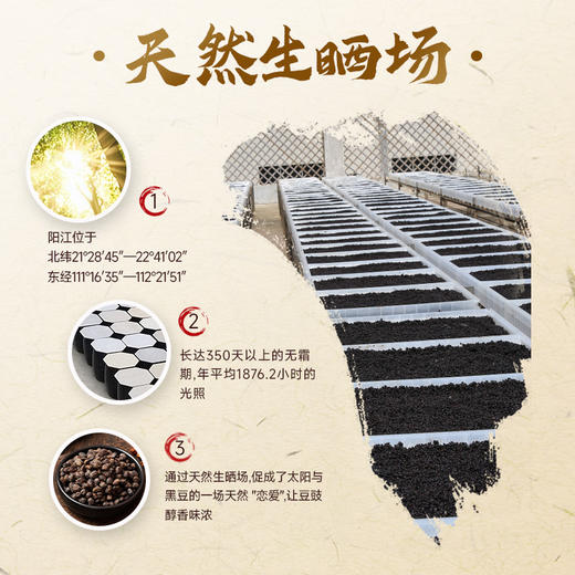 珠江桥牌 阳江姜豉300g 商品图4