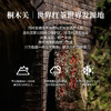 【魔造】妃子笑80g 商品缩略图1