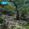 黔中古道｜心学之路+徐霞客古道，穿越贵州600年时空，5天4晚人文轻徒步 商品缩略图4