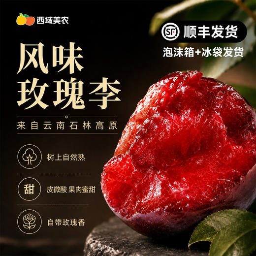 预计5.18开始发货，可能会提前【顺丰！】西域美农 云南高原风味玫瑰李子3斤 香气浓郁 有风斑 商品图4