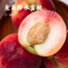龙泉驿水蜜桃 | 蜜桃界爆汁王 甜度高 蜜桃香气浓郁 果肉粉白软嫩 顺丰快递现摘现发 商品缩略图0