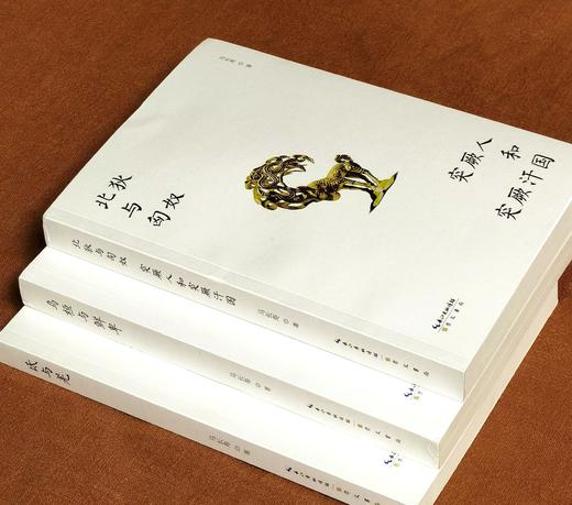 长寿民族史著作三种：《北狄和匈奴  突厥人和突厥汗国》《乌桓与鲜卑》《氐与羌》，32开，平装，马长寿著，崇文书局2026年一版二印 商品图2