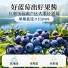 【米马团购】食味的初相 鲜果蓝莓酱150g*1罐/2罐/3罐 商品缩略图2