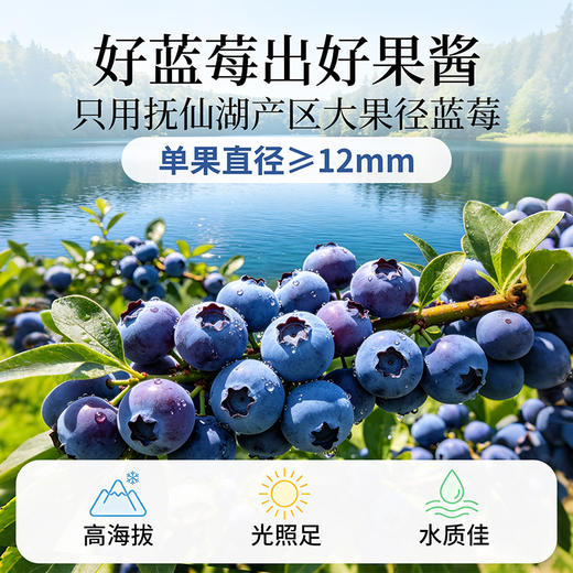 【米马团购】食味的初相 鲜果蓝莓酱150g*1罐/2罐/3罐 商品图2