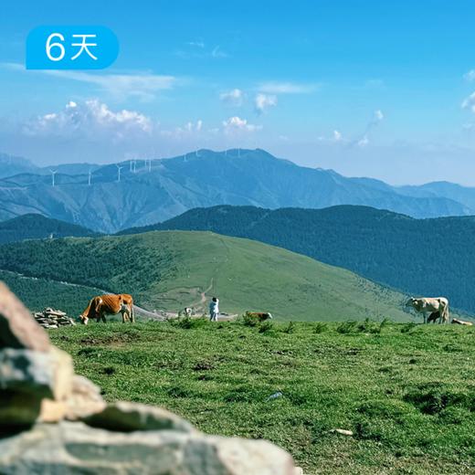 五台山顺朝徒步大会｜88公里特别版 朝台大圆满 6日 商品图6