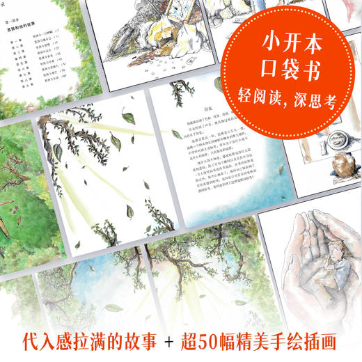 当我决定爱上一只蟑螂 心理疗愈口袋书李松蔚推荐接纳自渡自愈静心心理学书籍告别焦虑精神内耗养育内在小孩与自己和解 商品图3
