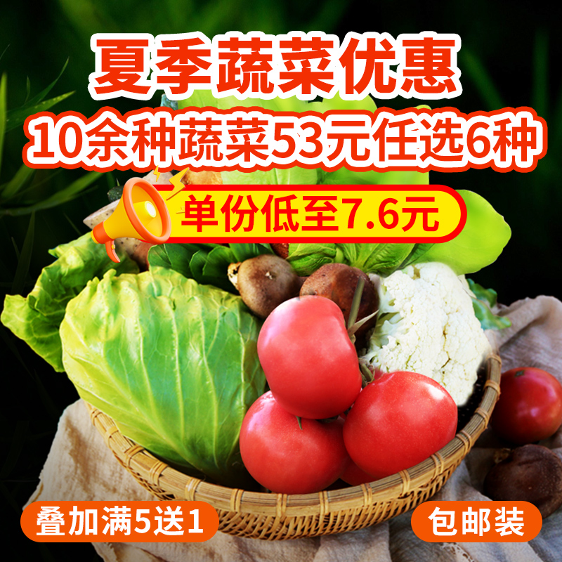 农家生态蔬菜组合优惠 10多种蔬菜任选6份包邮 新鲜采摘基地直发