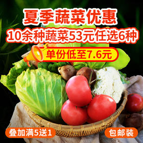 农家生态蔬菜组合优惠 10多种蔬菜任选6份包邮 新鲜采摘基地直发