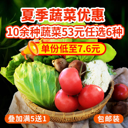 农家生态蔬菜组合优惠 10多种蔬菜任选6份包邮 新鲜采摘基地直发 商品图0