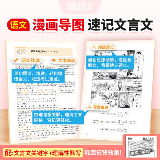 高中暑假语数英文言文计算题英语词汇全国通用记背专项三件套准高一提前练专项突破基础巩固训练册官方旗舰店 商品图2