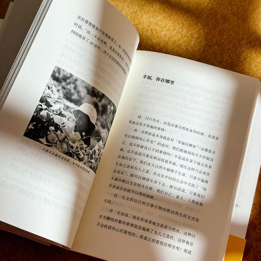 自然农法 淡泊生命之道 献礼大地丛书 日本自然农法经典之作 瓦依那乐队主唱岜农手绘封面 商品图11