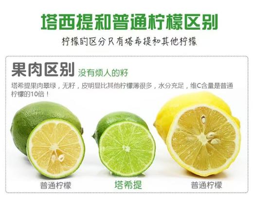 【果香浓郁】新鲜采摘 风味独特 | 云南塔西提无籽香水柠檬 新鲜柠檬 泡水/调酒/烘焙/烹饪调味 多用途 1斤装/2斤装/3斤装 商品图4