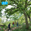 黔中古道｜心学之路+徐霞客古道，穿越贵州600年时空，5天4晚人文轻徒步 商品缩略图6