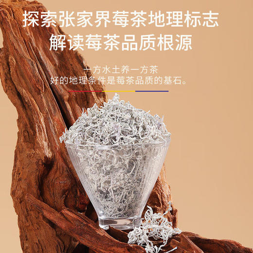 福东海 张家界莓茶108克 芽尖特级野山生龙须嫩芽莓茶高山藤茶 商品图2